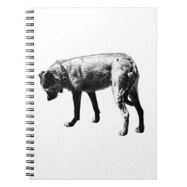 Curious Steps Terrier Mix Notebook (Front)
