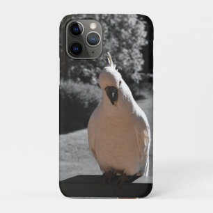 Curious Sulphur-Crested Cockatoo iPhone 11 Pro Case