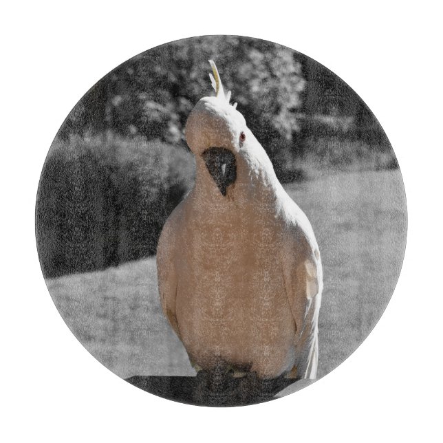 Curious Sulphur-Crested Cockatoo Cutting Board (Front)