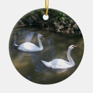 Curious Swans Ornament