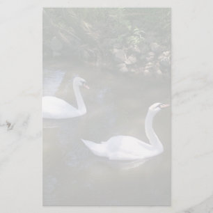 Curious Swans Stationery