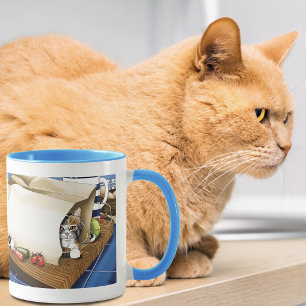 Curious Tabby Cat Grocery Bag Blue Cute Mug