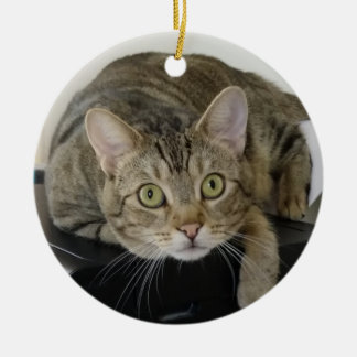  Curious Tabby Cat  Ornament