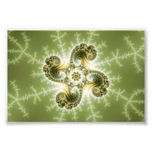 Curious Tentacles - Fractal Art Photo Print (Front)