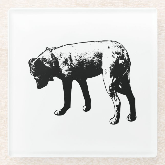 Curious Terrier Mix Coaster (Front)