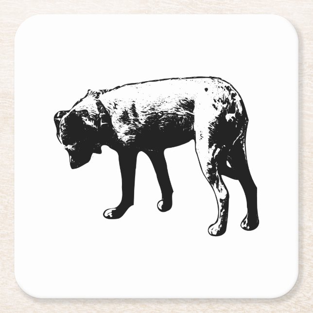 Curious Terrier Mix Coaster (Front)