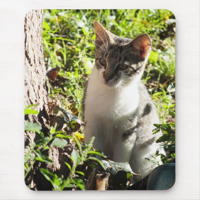 Curious Tiger and White Kitten Mouse pad (Front)