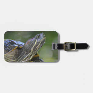 Curious Turtle Luggage Tag