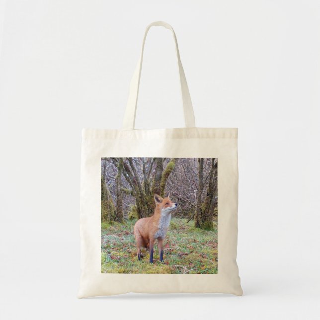 Curious Woodland Fox Looking Up Among Trees Art Tote Bag (Front)