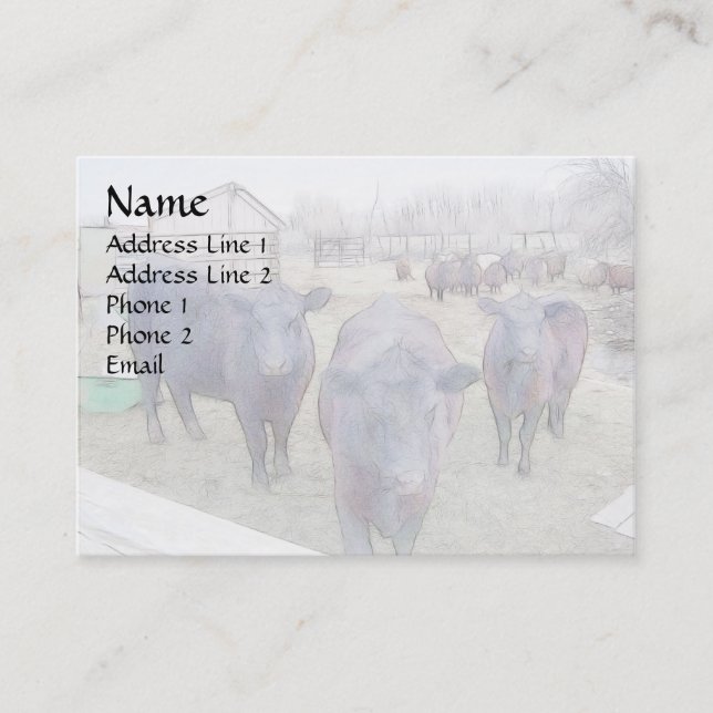 Curious Young Black Angus Business Card (Front)