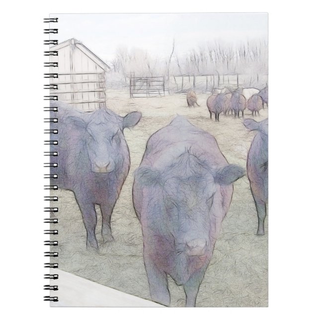 Curious Young Black Angus Notebook (Front)