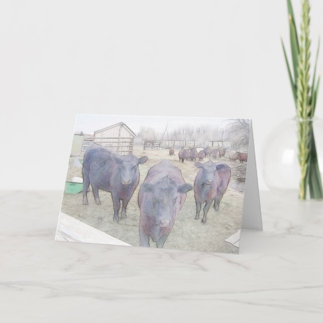 Curious Young Black Angus Thank You Card (Front)