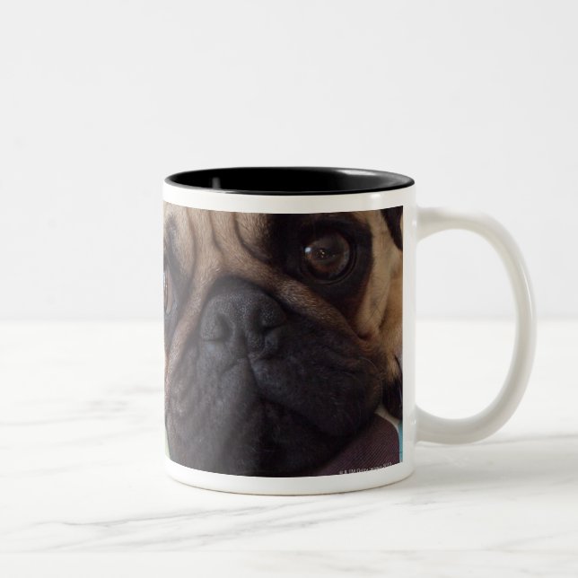 curious young pet Two-Tone coffee mug (Right)