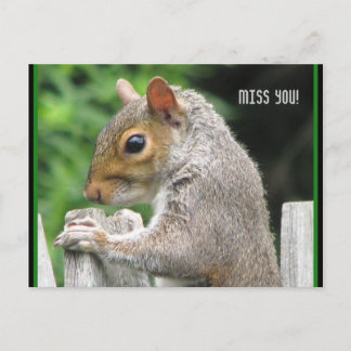 Curiously Cute, Miss you! Postcard