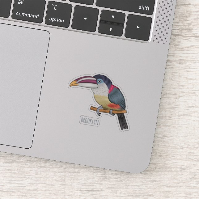 Curl crested aracari bird cartoon illustration (Detail)