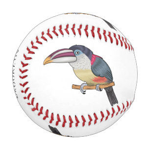 Curl crested aracari bird cartoon illustration baseball