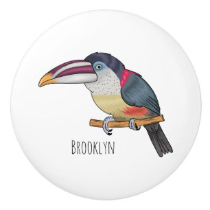 Curl crested aracari bird cartoon illustration ceramic knob