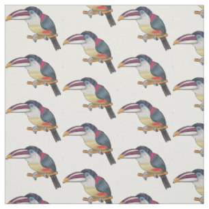 Curl crested aracari bird cartoon illustration fabric