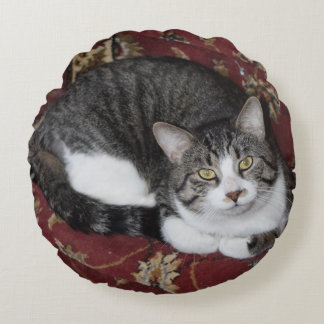Curl up with a cat round cushion