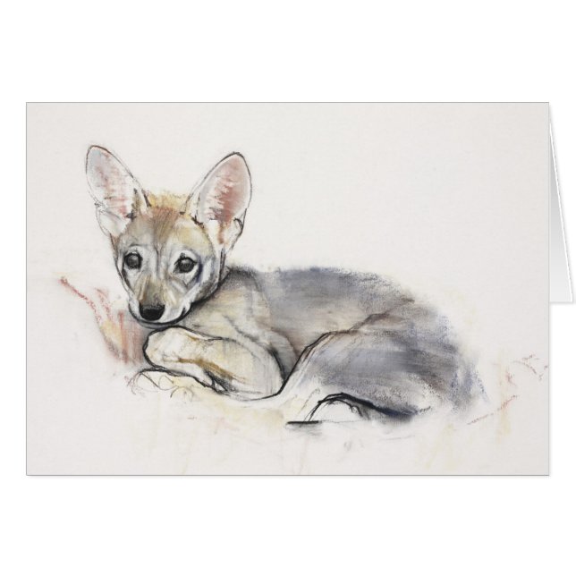 Curled Arabian Wolf Pup 2009 (Front Horizontal)