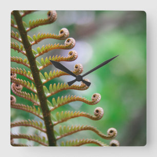 Curled Fern Wall Clock