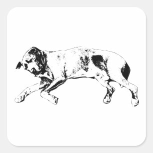 Curled Limbs, Noel Calm Square Sticker