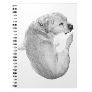 Curled Reflections Notebook