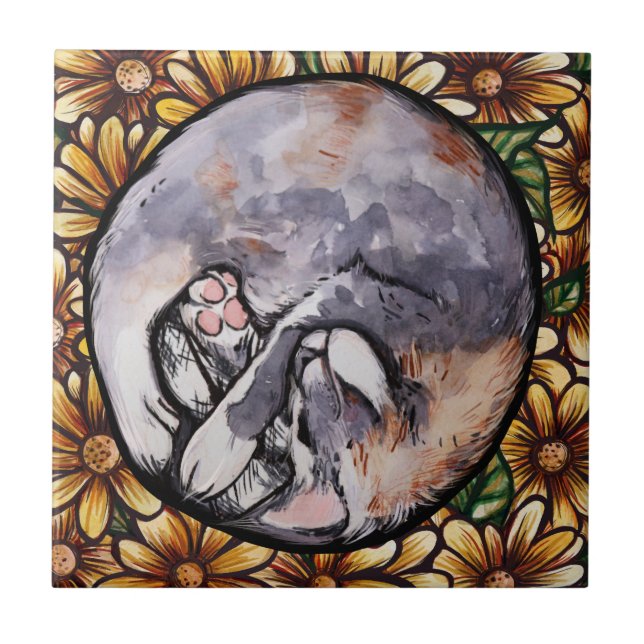 Curled Up Dilute Calico Kitty Cat                  Ceramic Tile (Front)