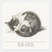 Curled Up Sleeping Cat