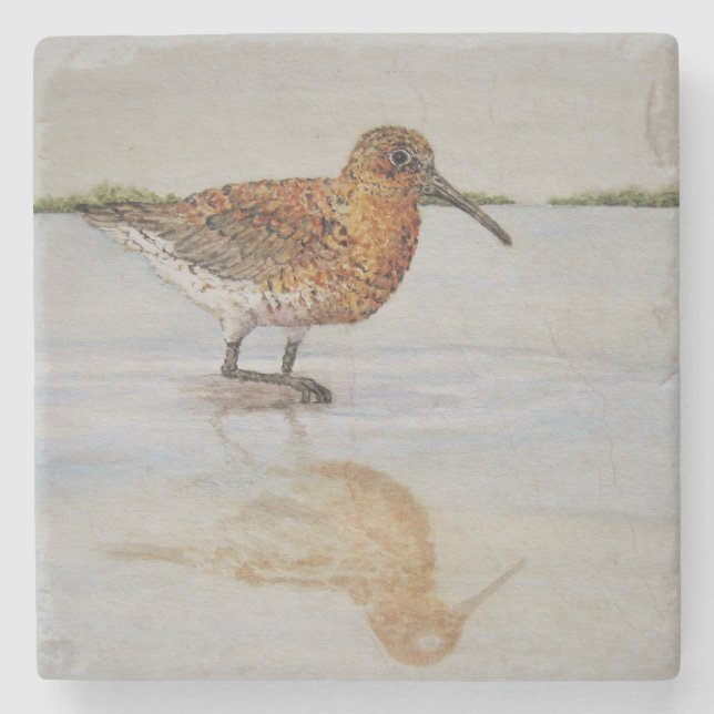 Curlew Sandpiper Coaster (Front)