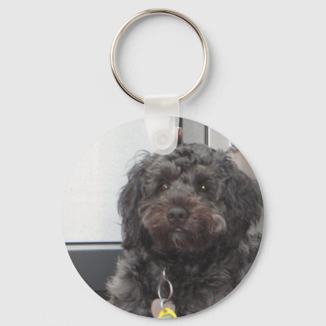 CURLEY KEY CHAIN (Front)