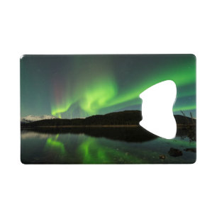 Curling Aurora