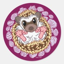 Curling Hedgehog coloured