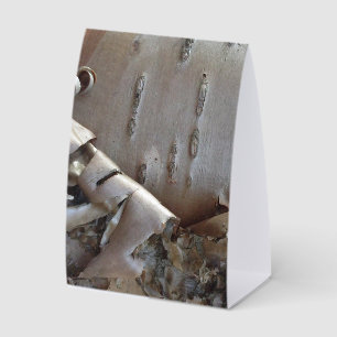 Curly Birch Bark Tree Rustic