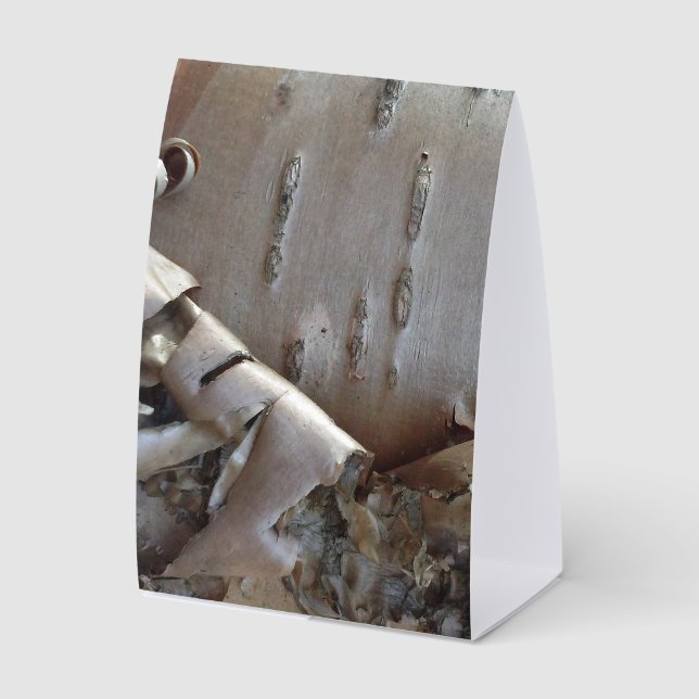 Curly Birch Bark Tree Rustic (Front)
