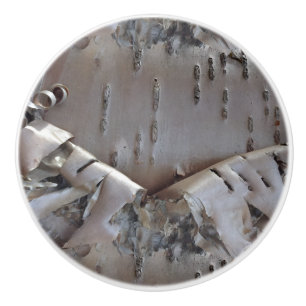 Curly Birch Bark Tree Rustic Ceramic Knob