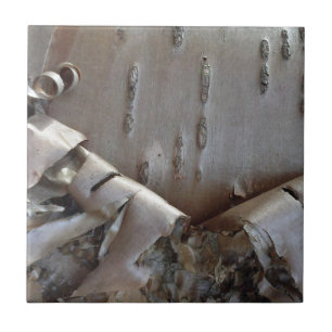 Curly Birch Bark Tree Rustic Ceramic Tile