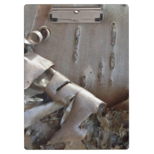 Curly Birch Bark Tree Rustic Clipboard