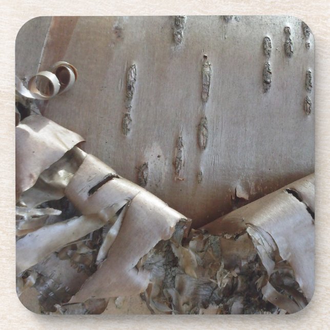 Curly Birch Bark Tree Rustic Coaster (Front)
