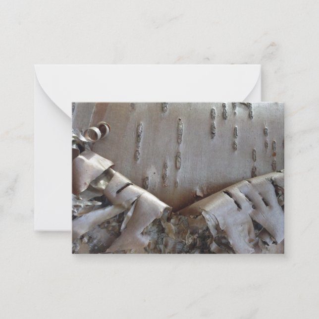 Curly Birch Bark Tree Rustic Flat Note Card (Front)