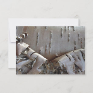 Curly Birch Bark Tree Rustic Flat Thank You Card
