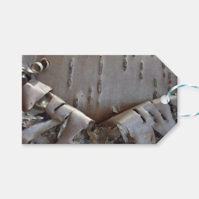 Curly Birch Bark Tree Rustic Gift Tag (Front (Horizontal))