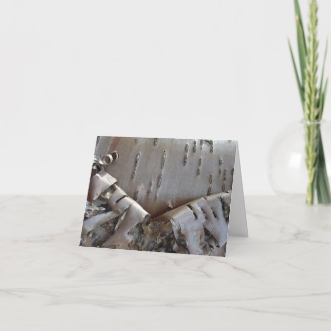 Curly Birch Bark Tree Rustic Note Card (Front)