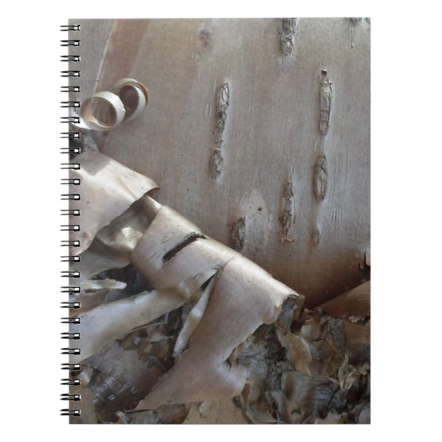 Curly Birch Bark Tree Rustic Notebook (Front)