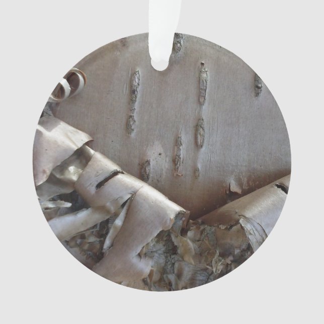 Curly Birch Bark Tree Rustic Ornament (Front)
