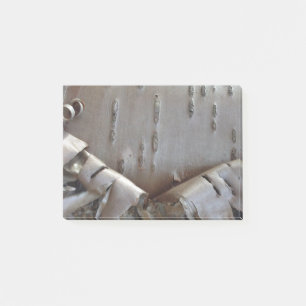 Curly Birch Bark Tree Rustic Post-it Notes