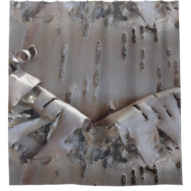 Curly Birch Bark Tree Rustic Shower Curtain (Front)