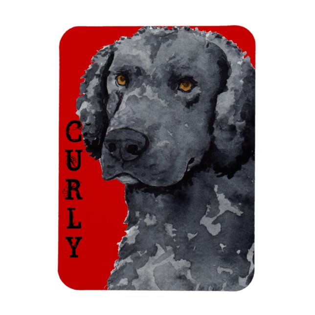 Curly-Coated Retriever Colour Block Magnet (Vertical)