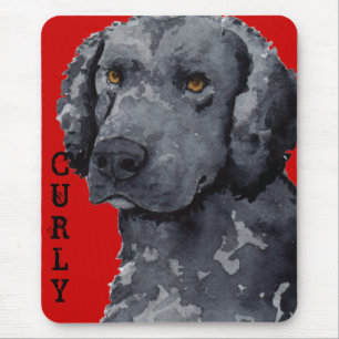 Curly-Coated Retriever Colour Block Mouse Pad