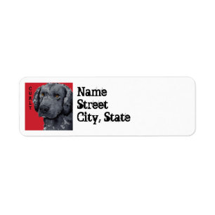 Curly-Coated Retriever Colour Block Return Address Label